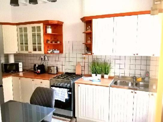 Ferienwohnung Free Garage Parking, Ac And Bikes In The Downtown Budapest Exterior foto